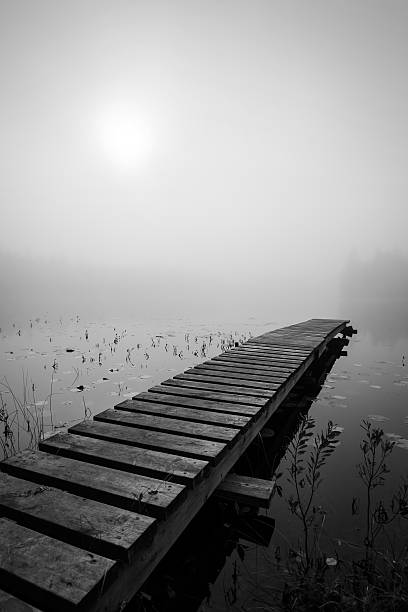 istock Wooden bridge in foggy scenery 528780195