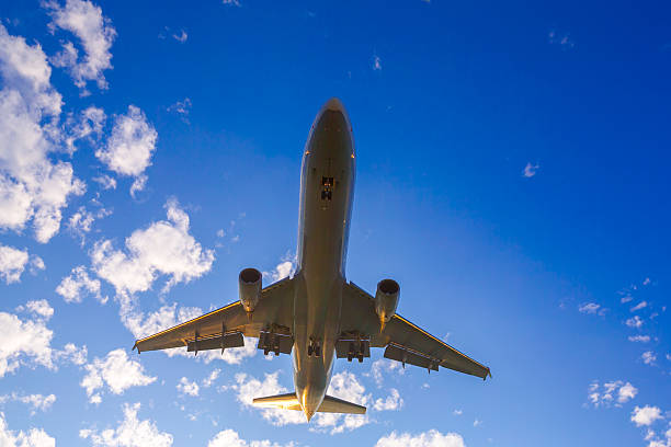 istock Airplane  landing at sunset 528782741