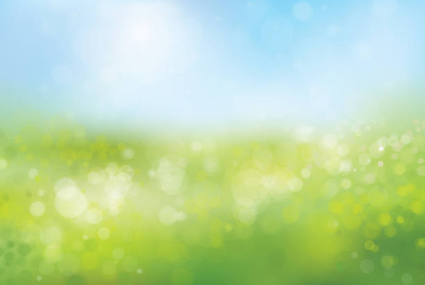 wektor niewyraźne natura tle. - grass and blue sky stock illustrations