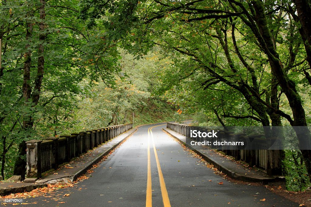 Baum überdachte Brücke mit zwei lane road - Lizenzfrei Portland - Oregon Stock-Foto