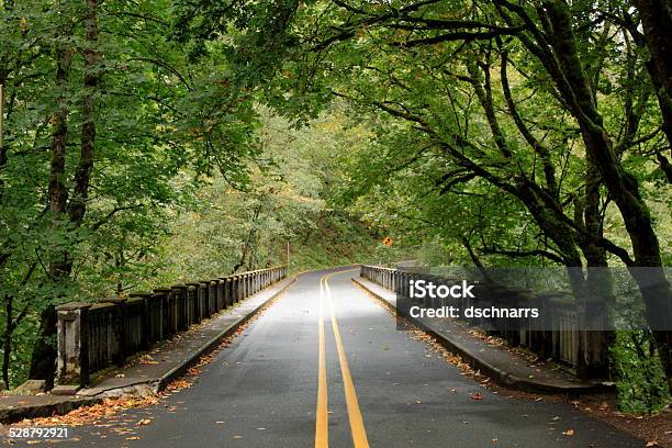 Baum Überdachte Brücke Mit Zwei Lane Road Stockfoto und mehr Bilder von Portland - Oregon - Portland - Oregon, Bedecken, Blatt - Pflanzenbestandteile