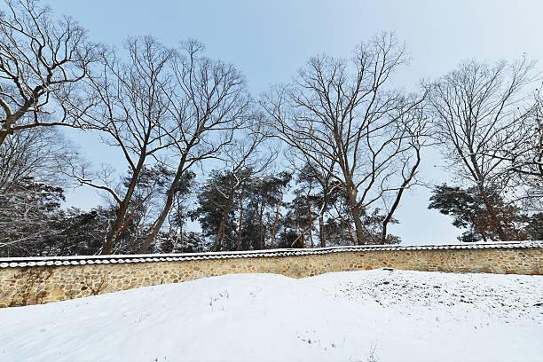 istock Traditional Korean walls 528793501