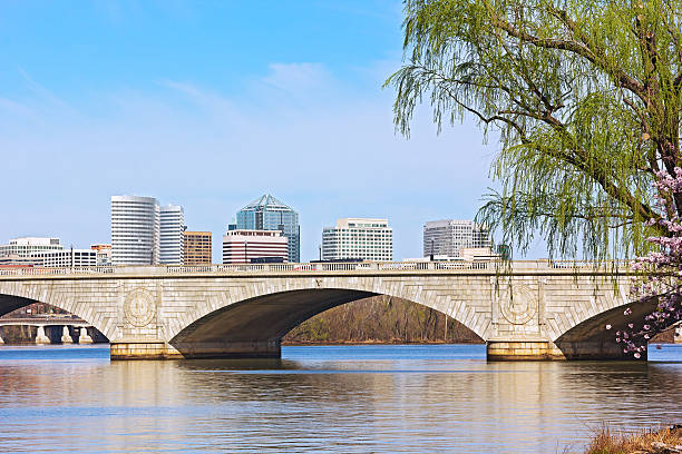 istock Cherry trees bloom near the Potomac River in Washington DC 528794715