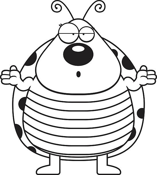 Ladybug Stupid Stupid Bug Illustrations, Royalty-Free Vector Graphics & Clip Art - iStock