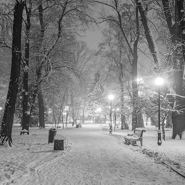 istock Footpath in a fabulous winter city park 528814213