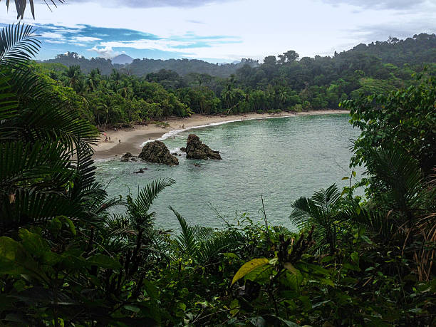 San Manuel National park in costa rica manuel antonio national park stock pictures, royalty-free photos & images