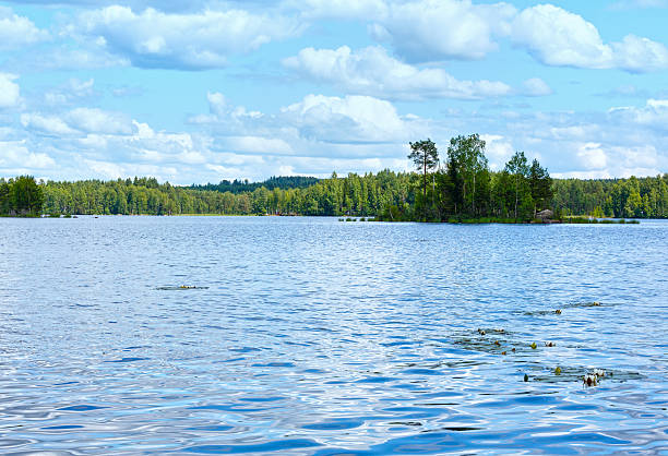 istock Lake Rutajarvi summer view (Finland). 528826749