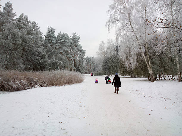 istock People in winter park. 528827409