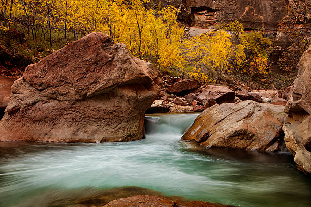 This is the scenic shot taken from the bridge over the Virgin River that all photographers take when you visit Zion National Park in Utah.  It is a magical place to be
