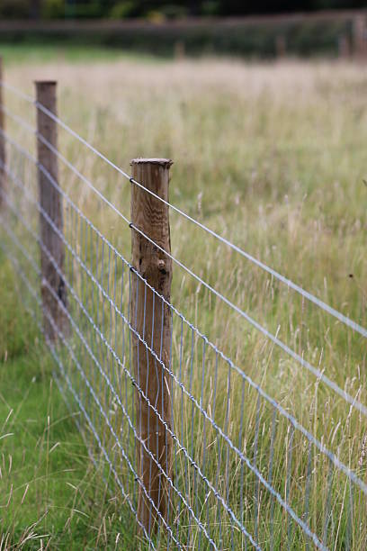 istock FIeld with wire fence 528828127
