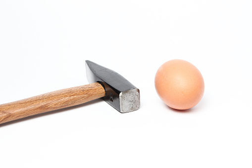 Hammer And Egg