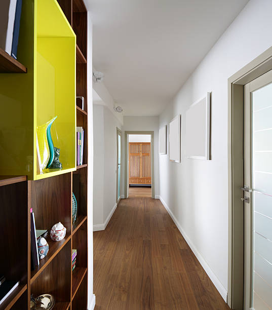 istock interior of bright hallway home 528831827