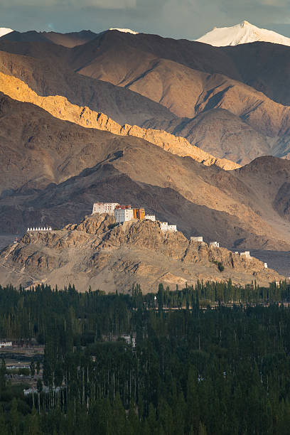 Matho Monastery Matho Monastery is a Buddhist monastery in Ladakh, India ladakh region stock pictures, royalty-free photos & images
