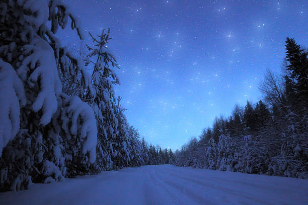 istock Beautiful night winter landscape with the stars 528863933