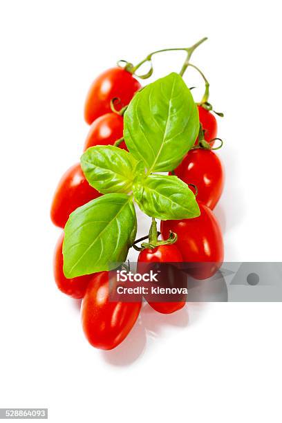 Fresh Tomatoes Stock Photo - Download Image Now - Agriculture, Autumn, Basil