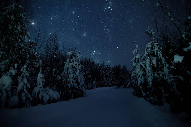 istock Beautiful night winter landscape with the stars 528865783