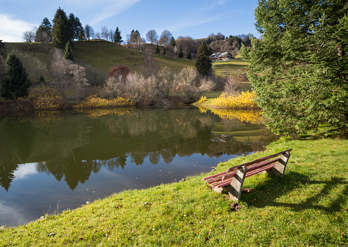park bench at lake in black forest farmland, Germany