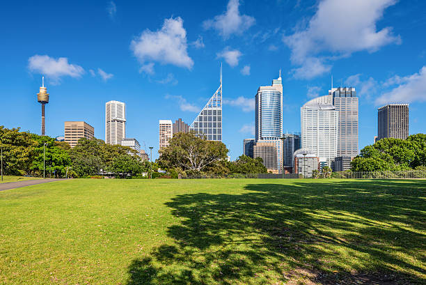 istock Green lawn with modern building as background in Sydney, Austral 528875497