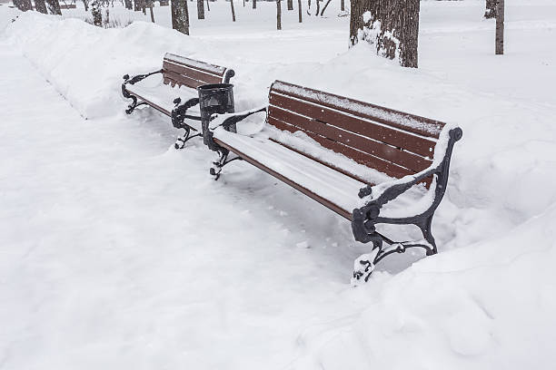 istock Benches in the winter city park 528875537