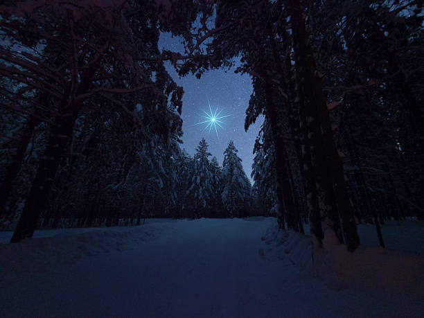 istock Beautiful night winter landscape with the stars 528875565