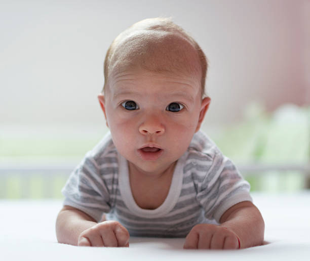 istock Cute newborn baby 528877497