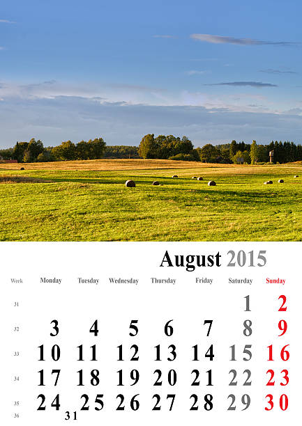 istock calendar 2015 august. nature image selection. europe. internatio 528878527