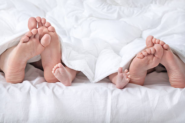 Funny family feet under the white blanket Funny family feet under the blanket bed human foot couple two parent family stock pictures, royalty-free photos & images