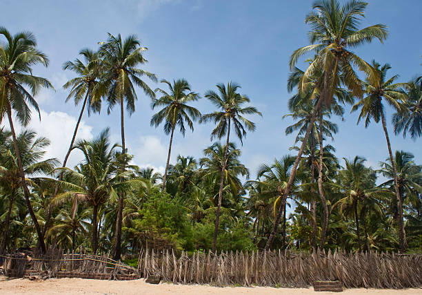 istock Paradise at a tropical beach Palolem 528886129