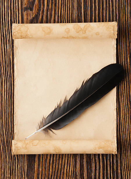 istock feather on a background of the empty form 528886623
