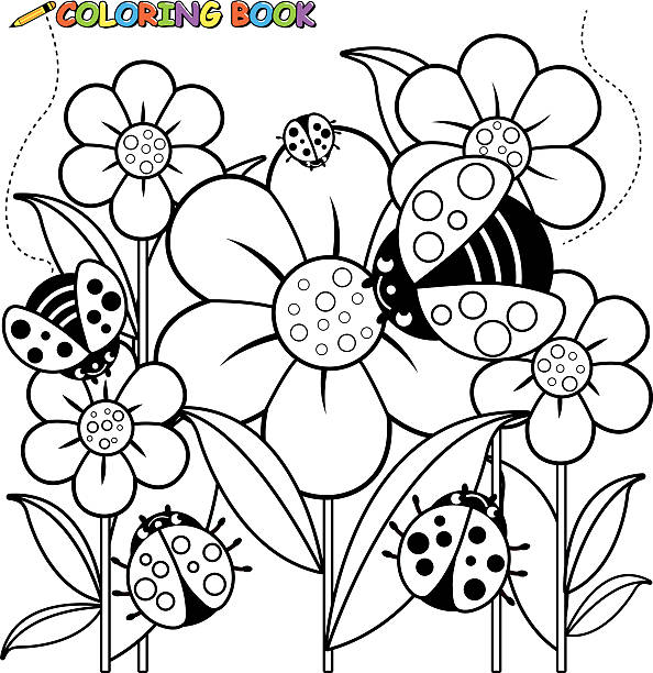 Coloring book page ladybugs and flowers Vector Illustration of a black and white outline image of ladybugs flying on flowers in springtime. ladybird book stock illustrations