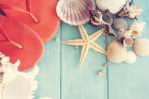 istock Concept of the summer time with sea shells 528892197