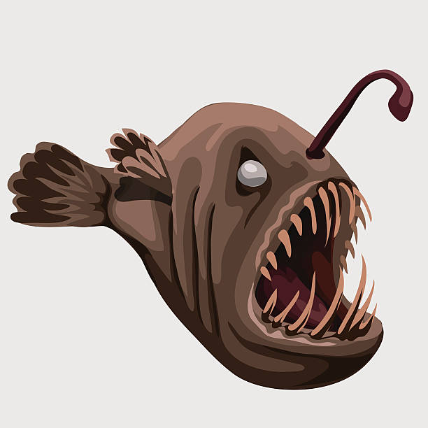 illustrations, cliparts, dessins animés et icônes de fossile marron à pleines dents poisson lampe, isolé-image - anglerfish sea fish underwater