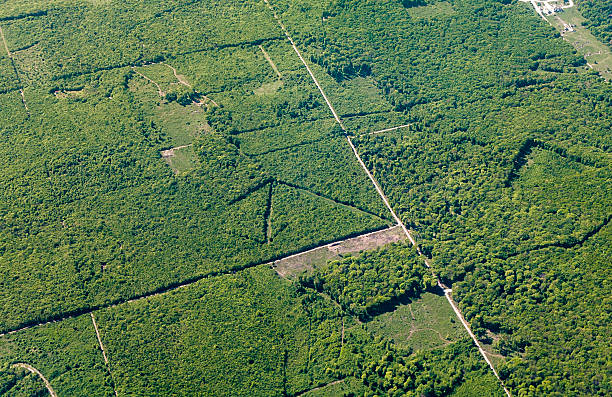 aerial view of agricultural landscape   at vienna aerial view of agricultural landscape   at vienna vienna woods stock pictures, royalty-free photos & images