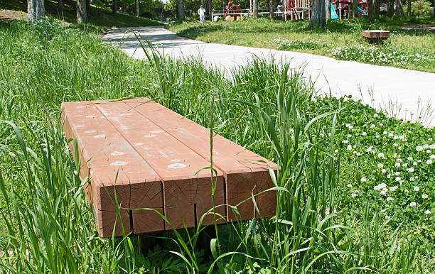 istock Bench on green grass field in park 528893968