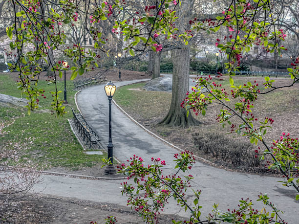 istock Central Park, New York City 528895554