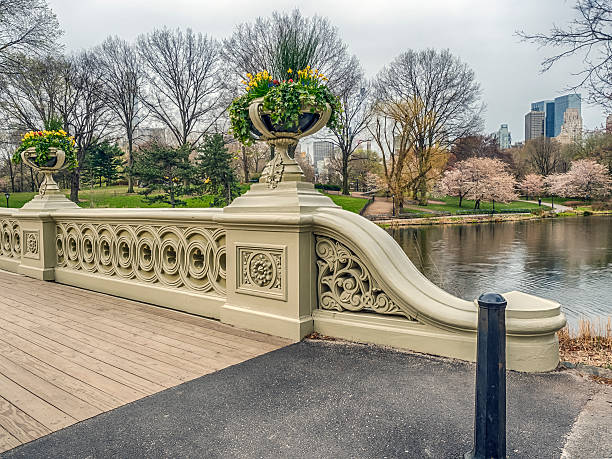 istock Central Park, New York City spring 528895812