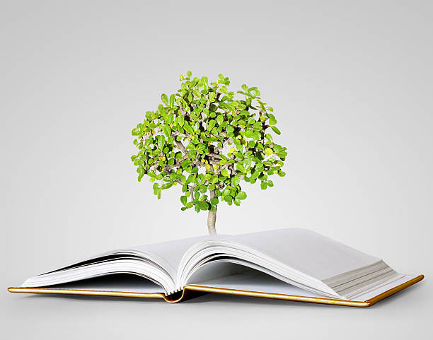 istock book of fantasy stories 528897962