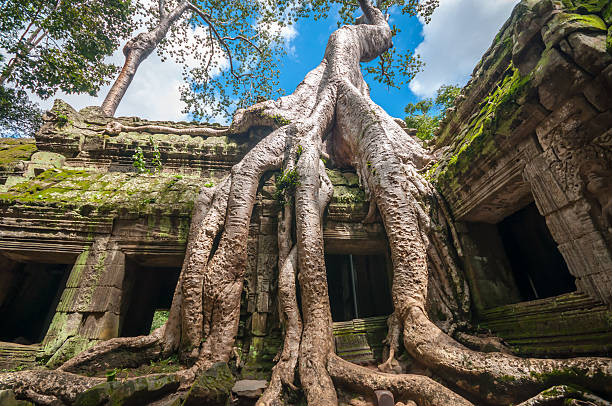 camboja templo - angkor wat buddhism cambodia tourism imagens e fotografias de stock
