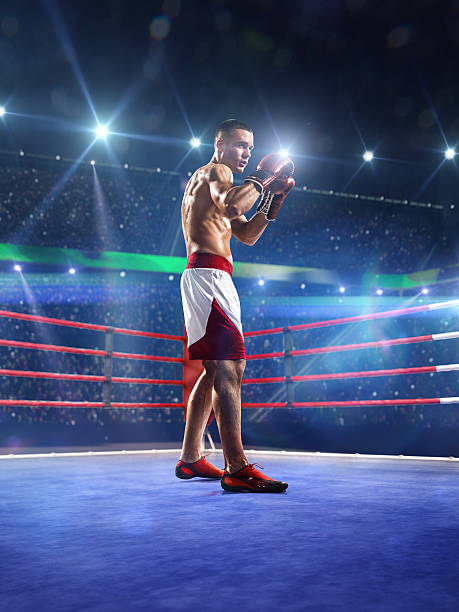 istock Professionl boxer is standing on the ring 528898387