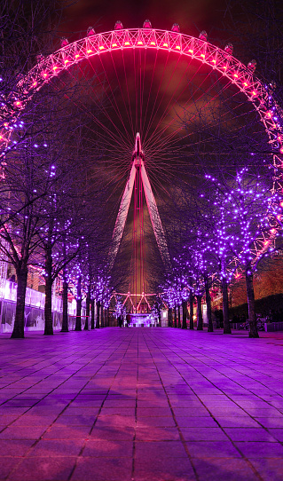 London, United Kingdom - December 23, 2015: Walkway with trees leading towards the London Eye. Everything is lit up for Christmas and New Years.