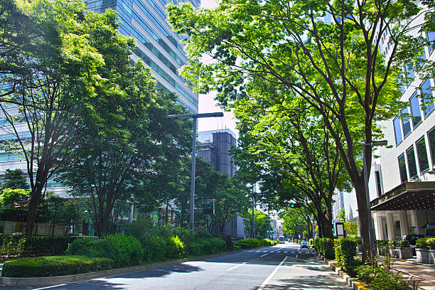 新宿の新緑 - オフィス街　日本 ストックフォトと画像