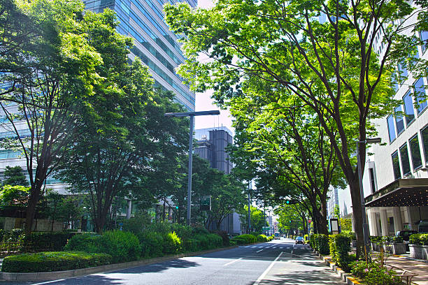 istock Fresh green of Shinjuku 528903422