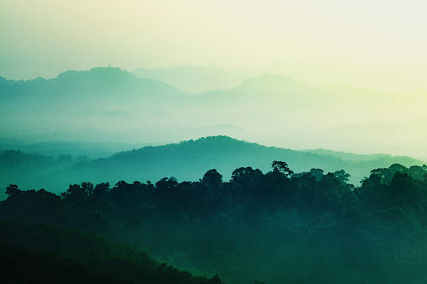Beautiful view with mountains fog in morning
