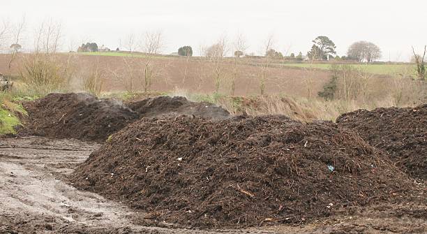 istock Recycled garden waste. 528905351