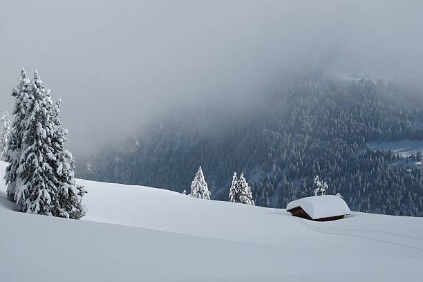 зимний день в альпах - bernese oberland gstaad winter snow стоковые фото и изображения