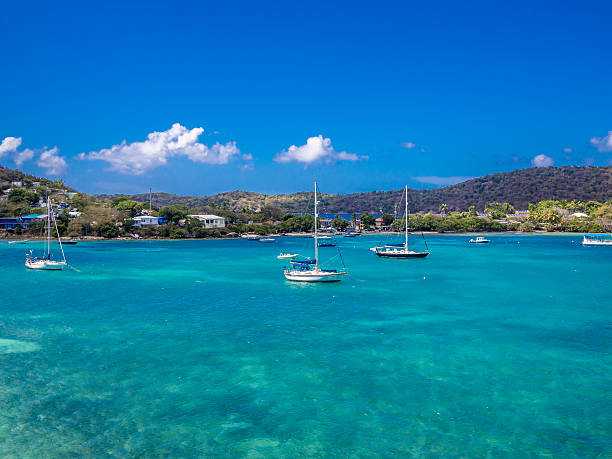istock Calm water of tropical bay 528907662