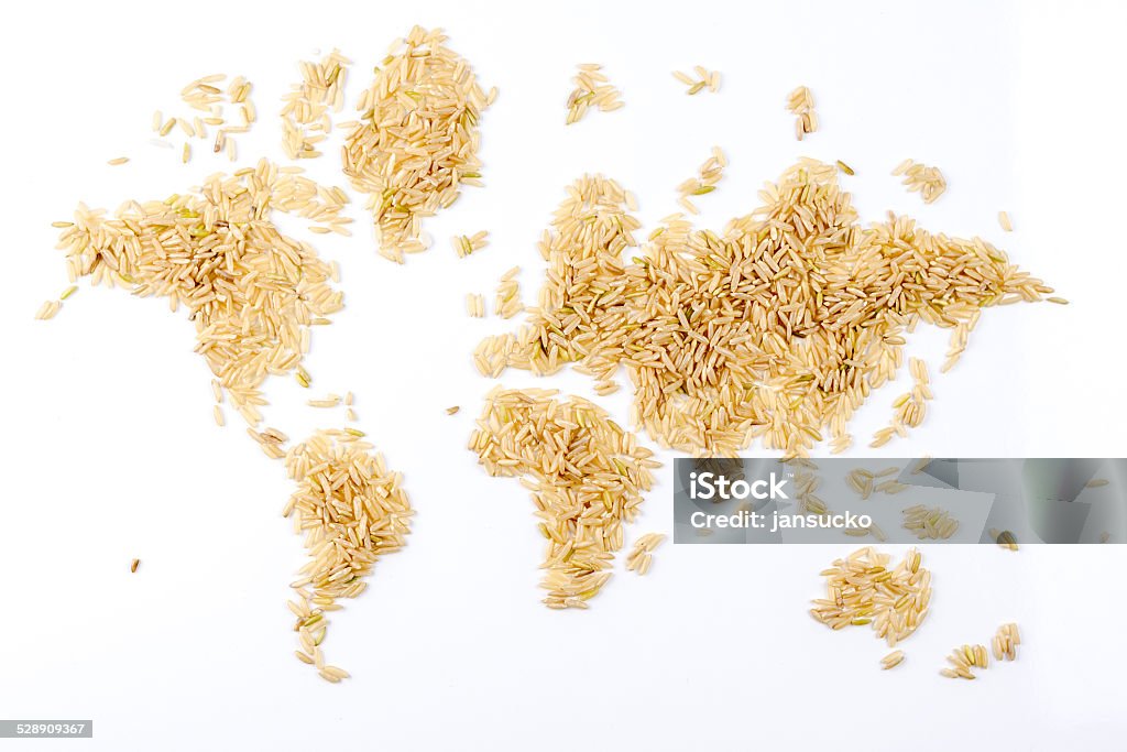 map of the world made of natural rice on white map of the world made of raw natural rice on white background Abstract Stock Photo