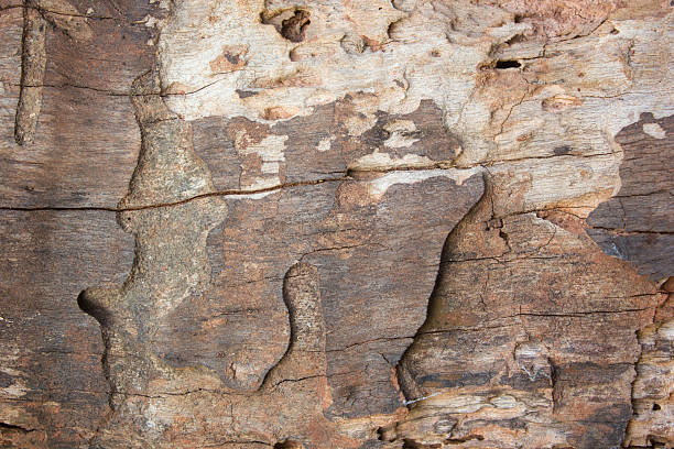 foto de textura de madera - wood circular saw dirty old fotografías e imágenes de stock