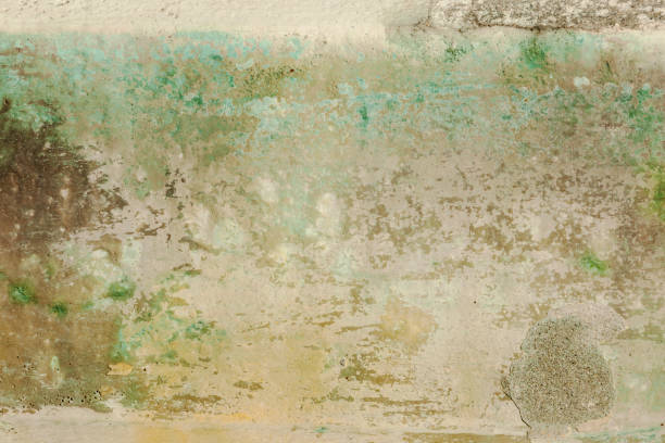 istock Fragment of colorful  discolored mural wall backgrounds. 528909544