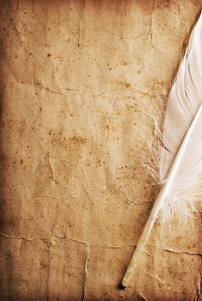 istock feather on a background of the empty form 528910057
